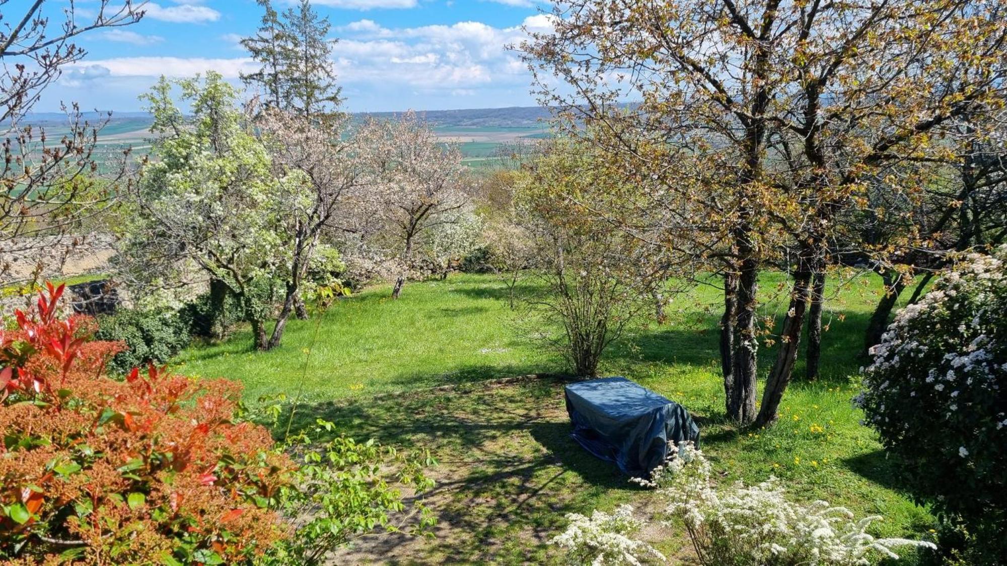 L'Oustalou - Wifi - Jardin - Campagne Villa Villeneuve  Exterior foto
